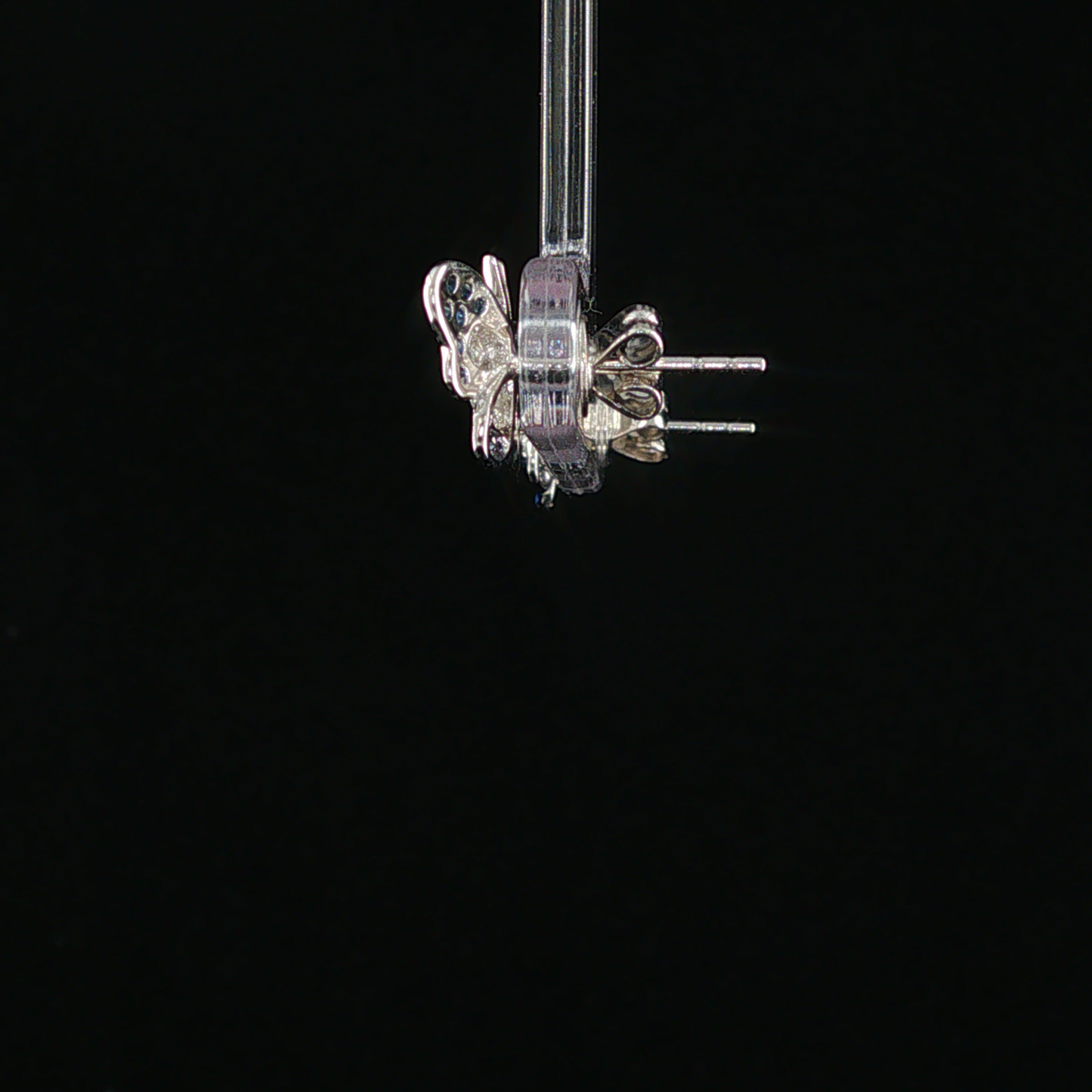 Royal Blue Sapphire Butterfly Stud Earrings in White Gold